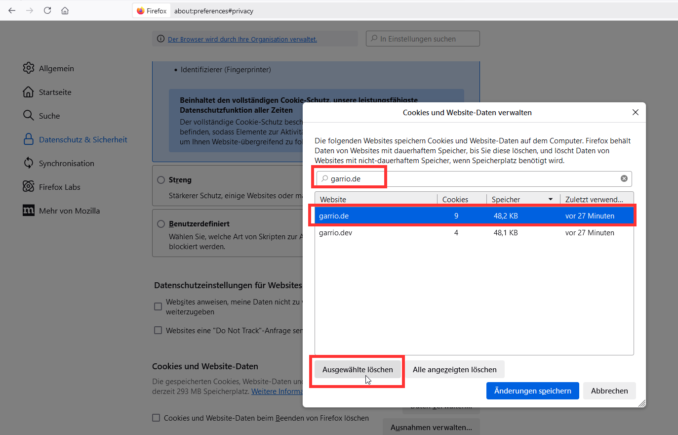 garrioCOM Browser Firefox Cookies 2